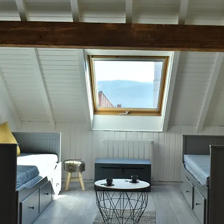 Studio, Le Petit Gris Des Montagnes * 穆特