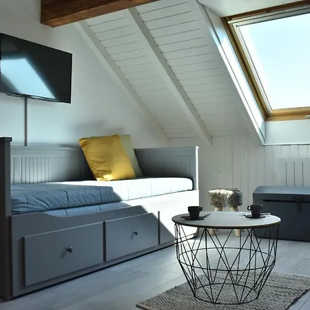 公寓 Studio, Le Petit Gris Des Montagnes 穆特