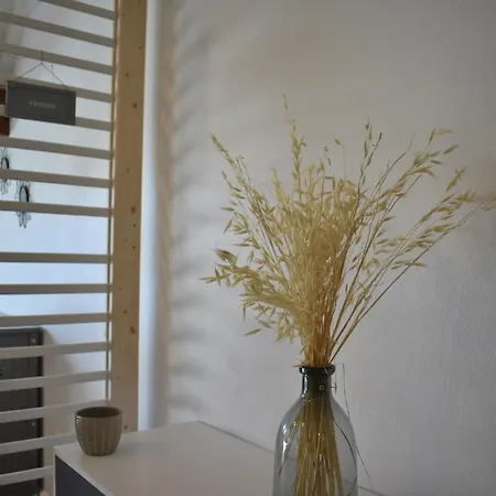 Studio, Le Petit Gris Des Montagnes 公寓 穆特